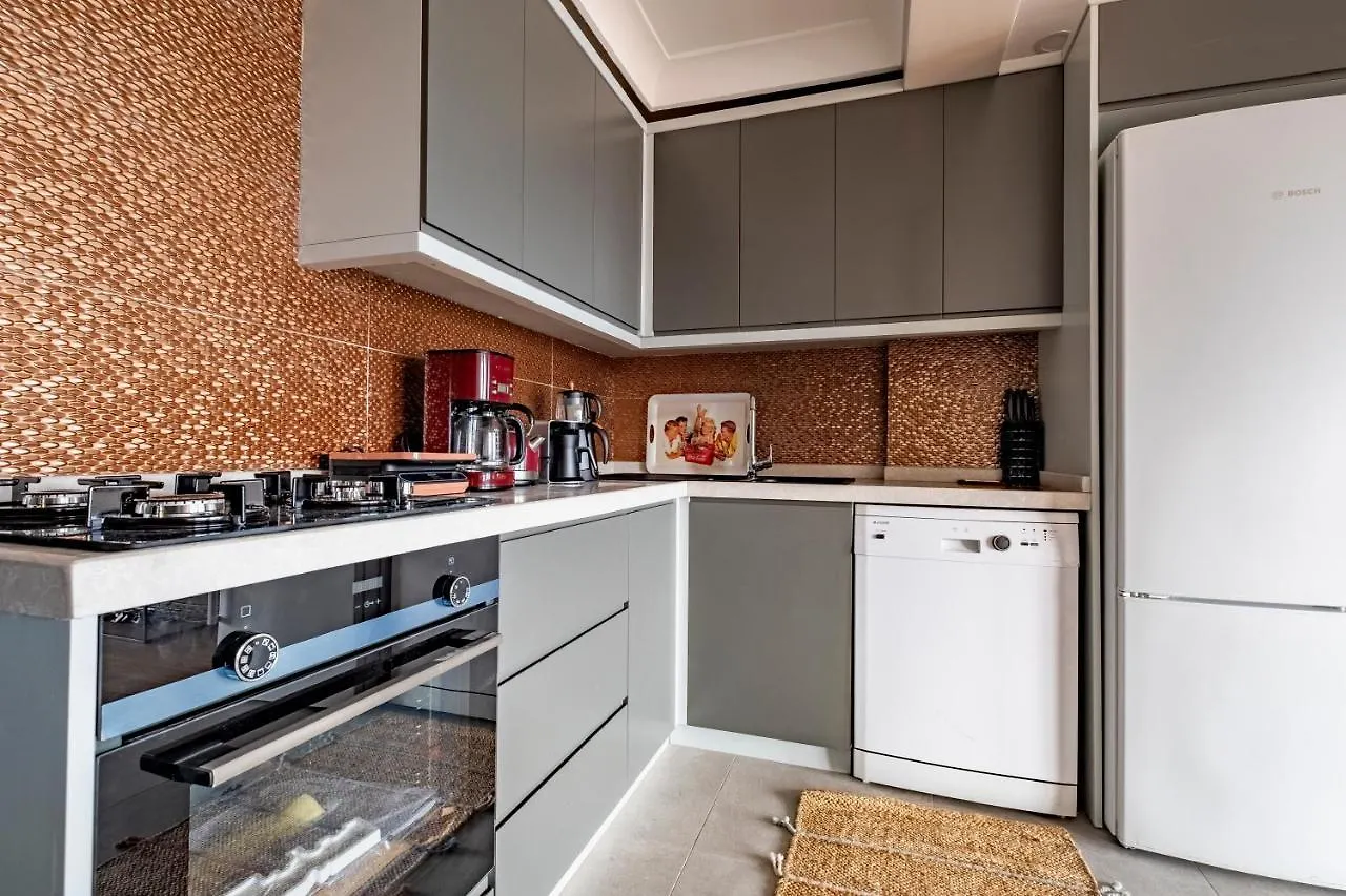 شقة New And Modern Flat With Sea View اسطنبول 0*,  تركيا